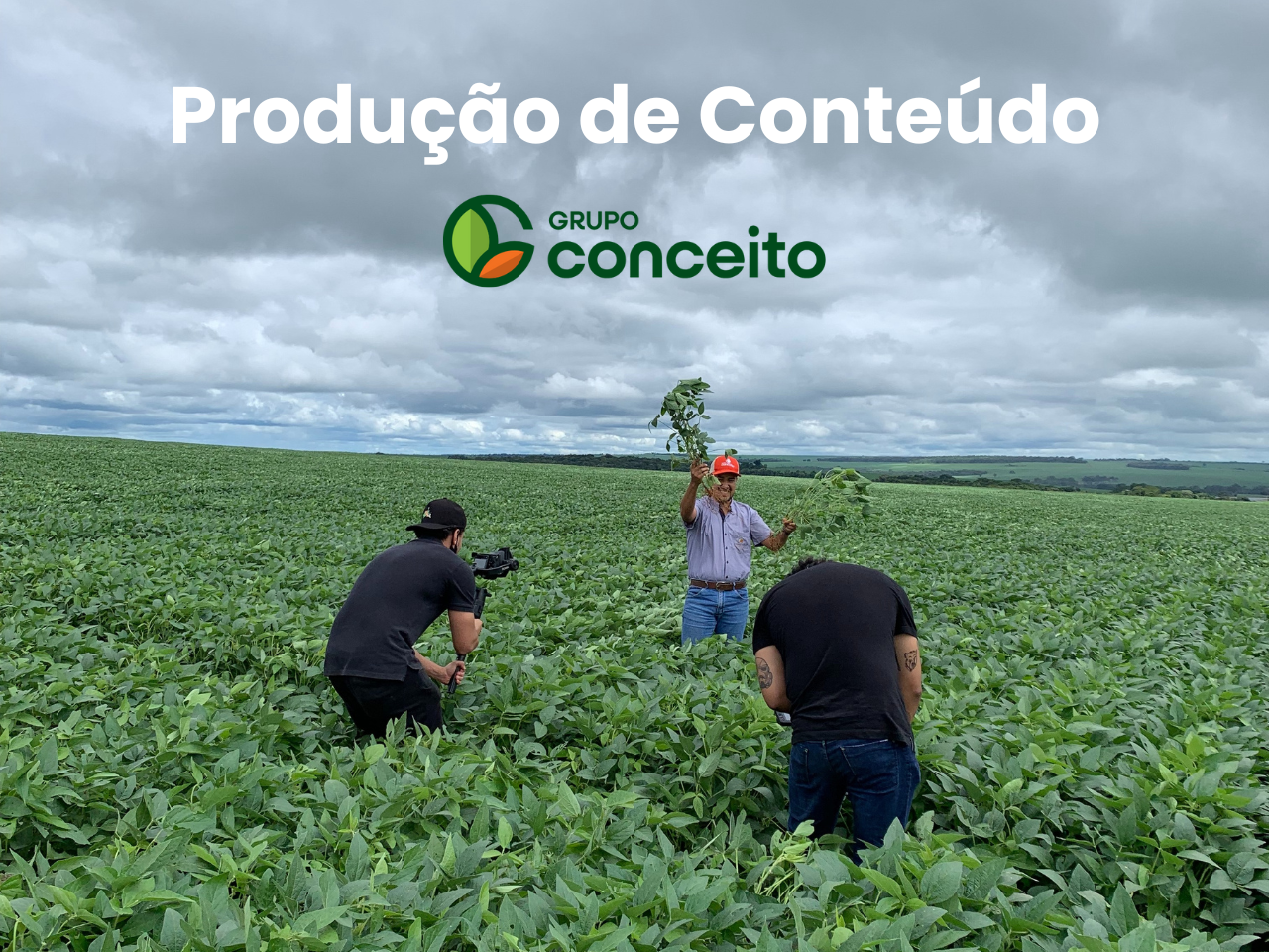 Grupo Conceito campaign work